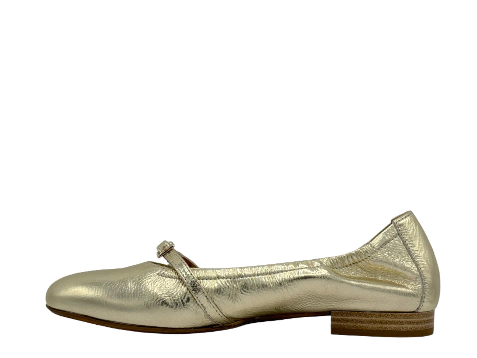 Donna Carolina - 170179 (Gold)