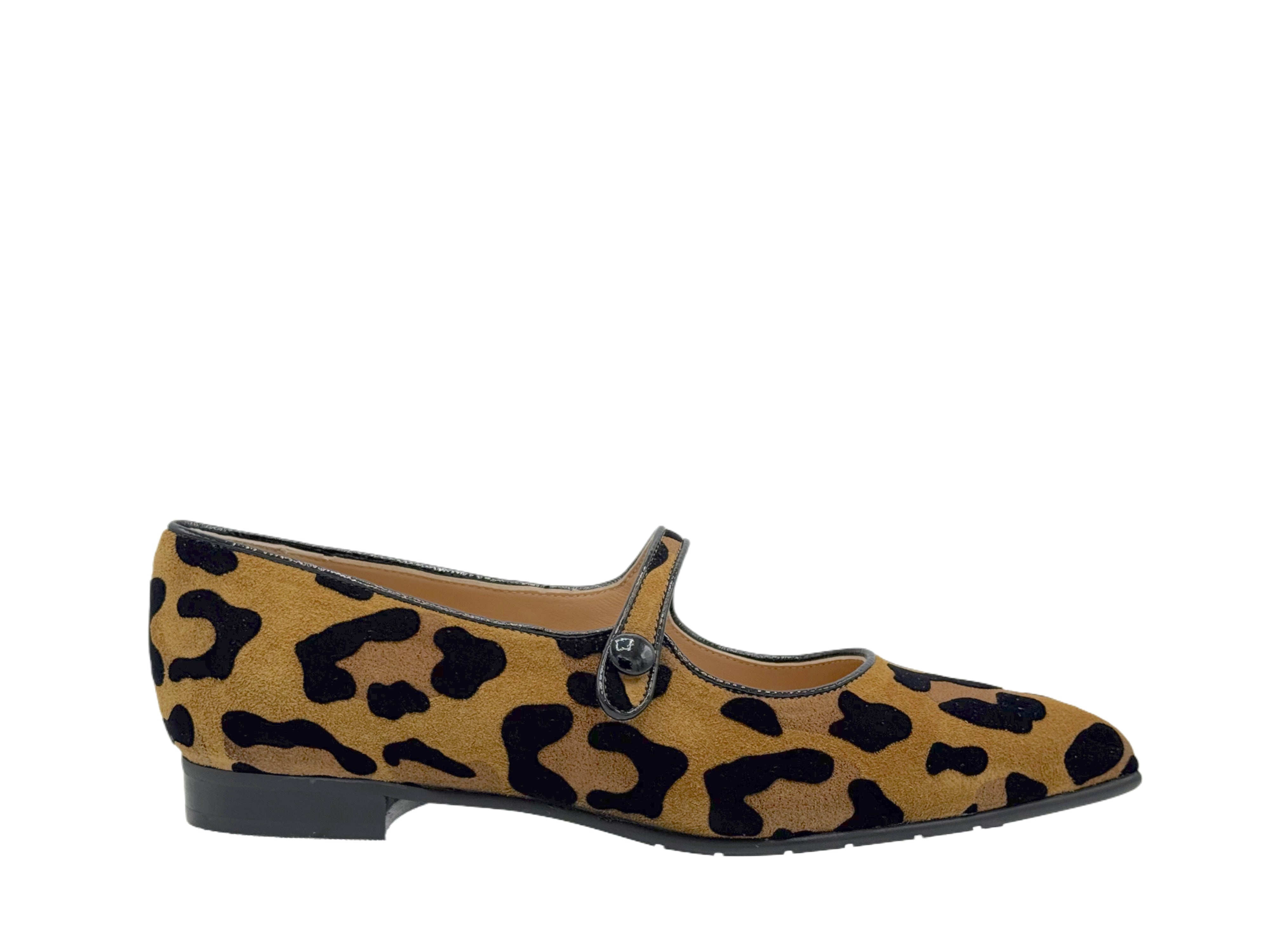 Luca Grossi - CH981 (Leopard)