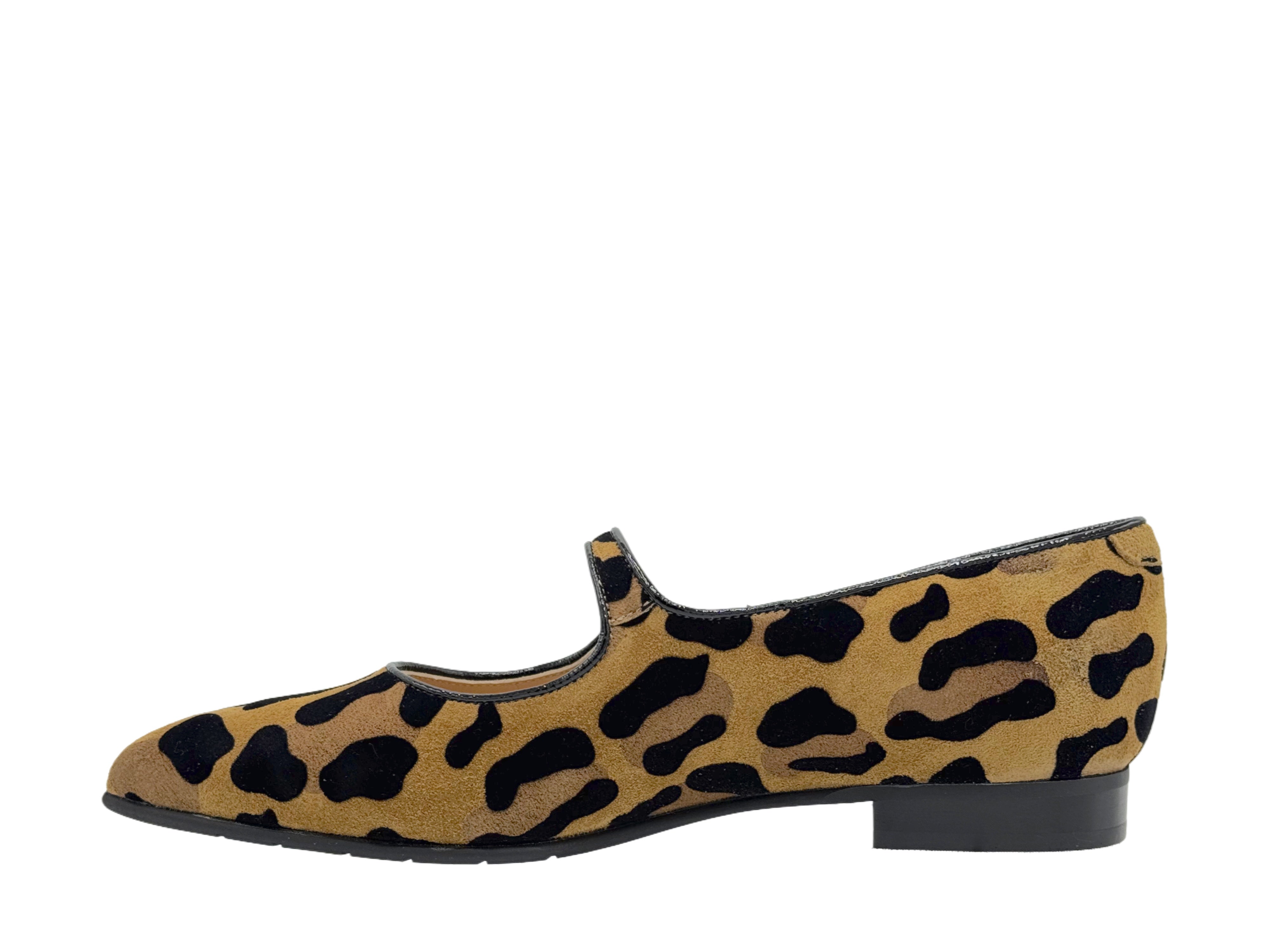 Luca Grossi - CH981 (Leopard)