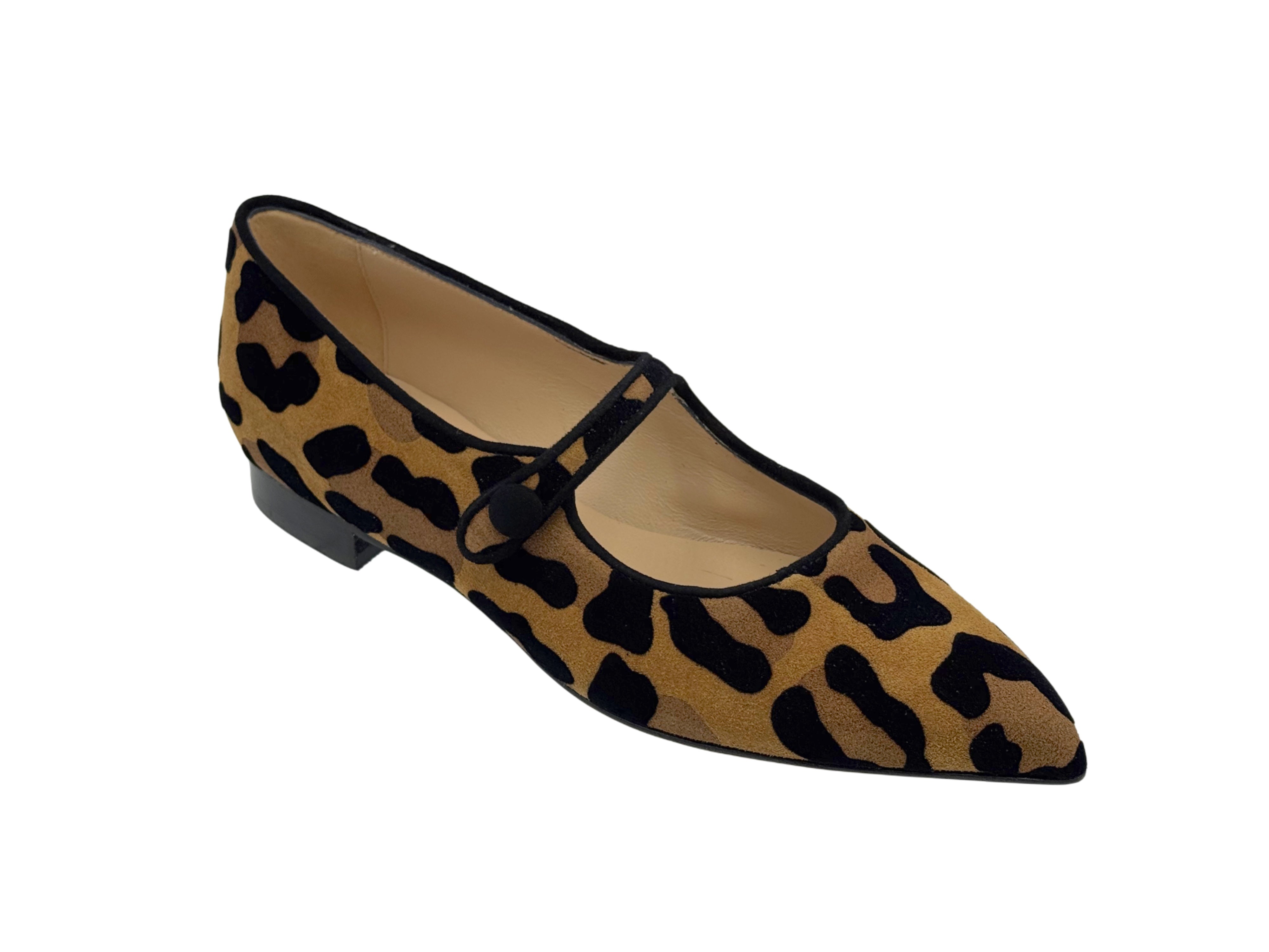 Luca Grossi - CH981 (Leopard)