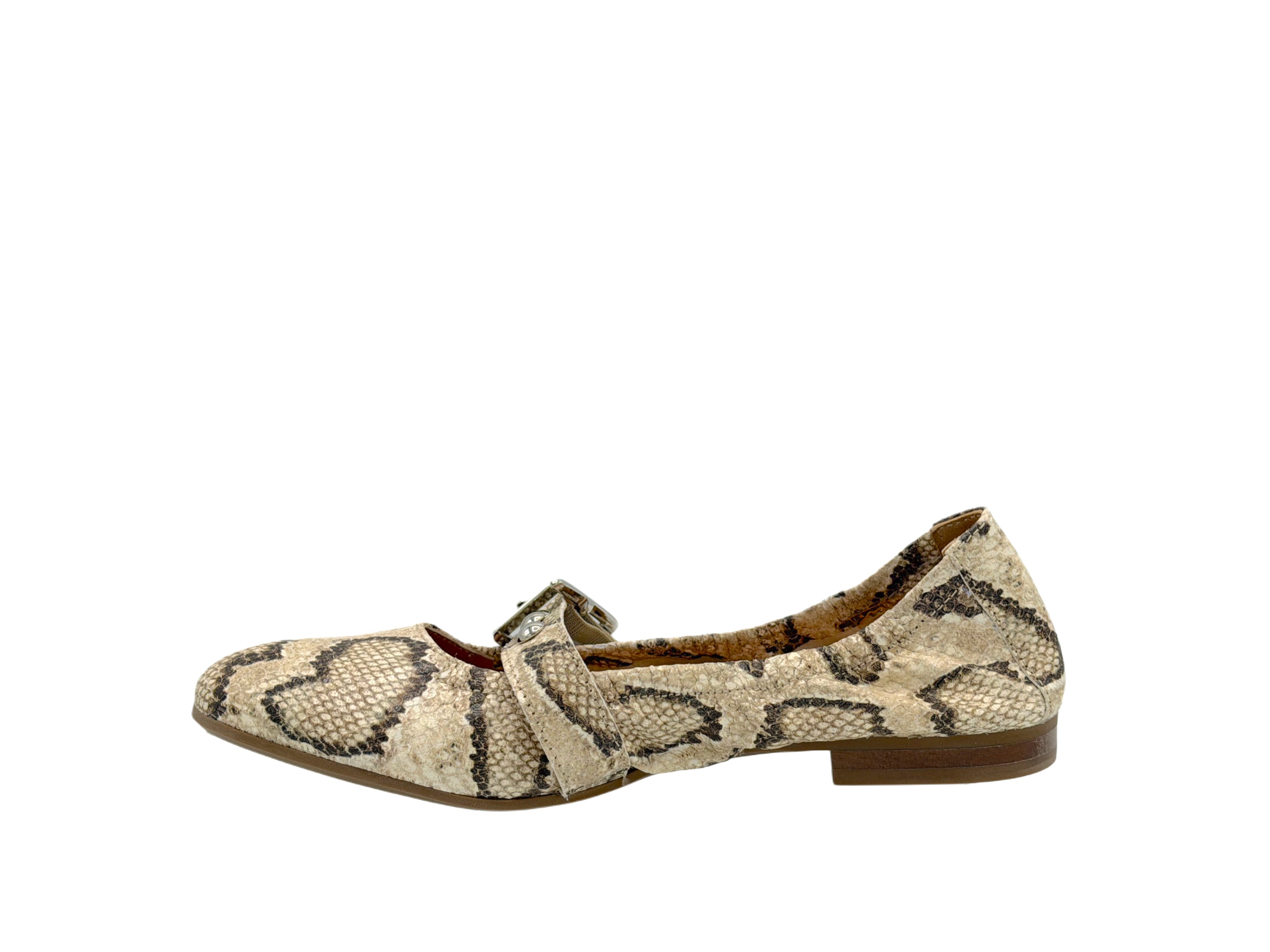 Donna Carolina - 170411 (Snake)