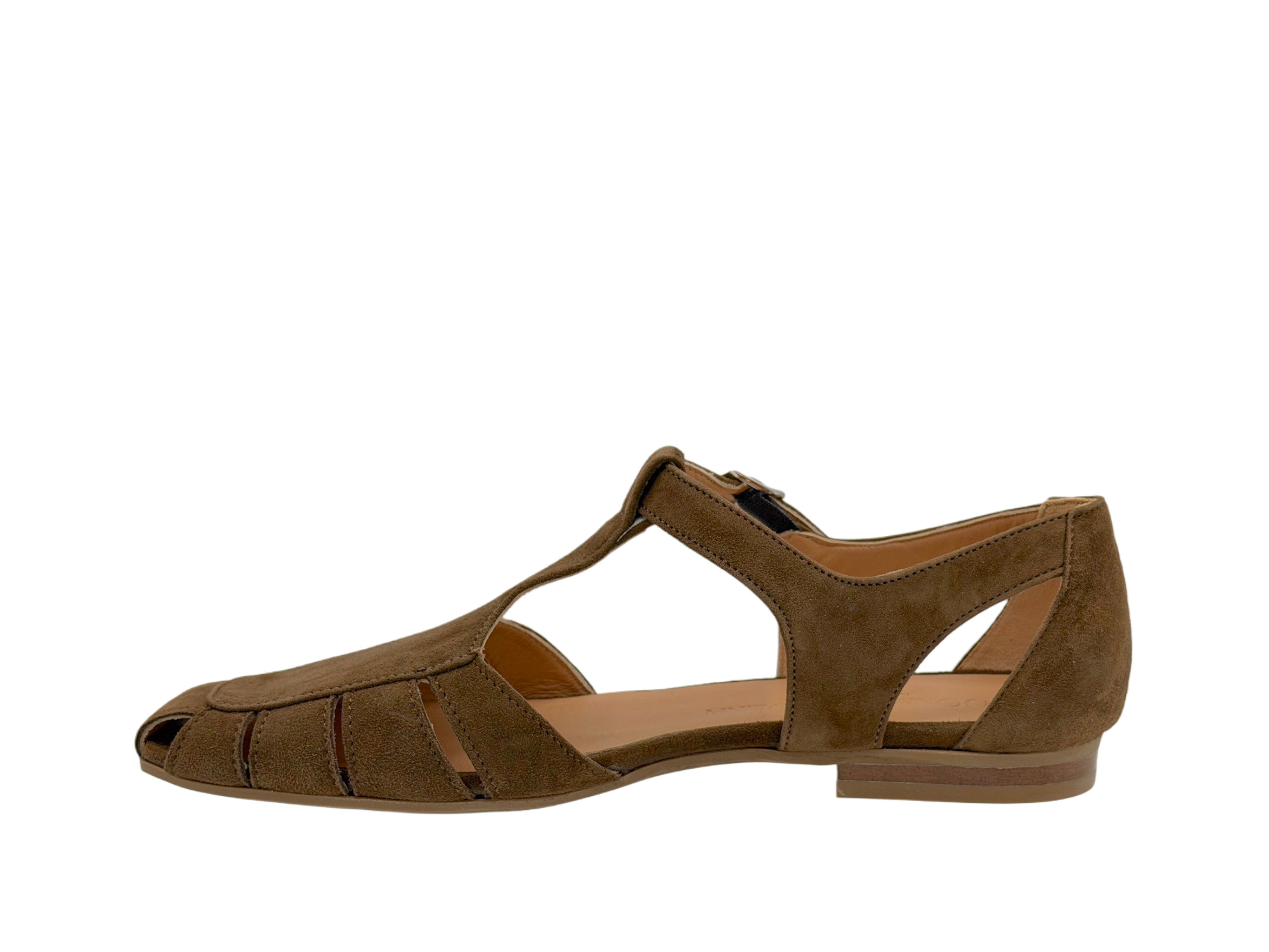 Donna Carolina - 475453 (Brown)