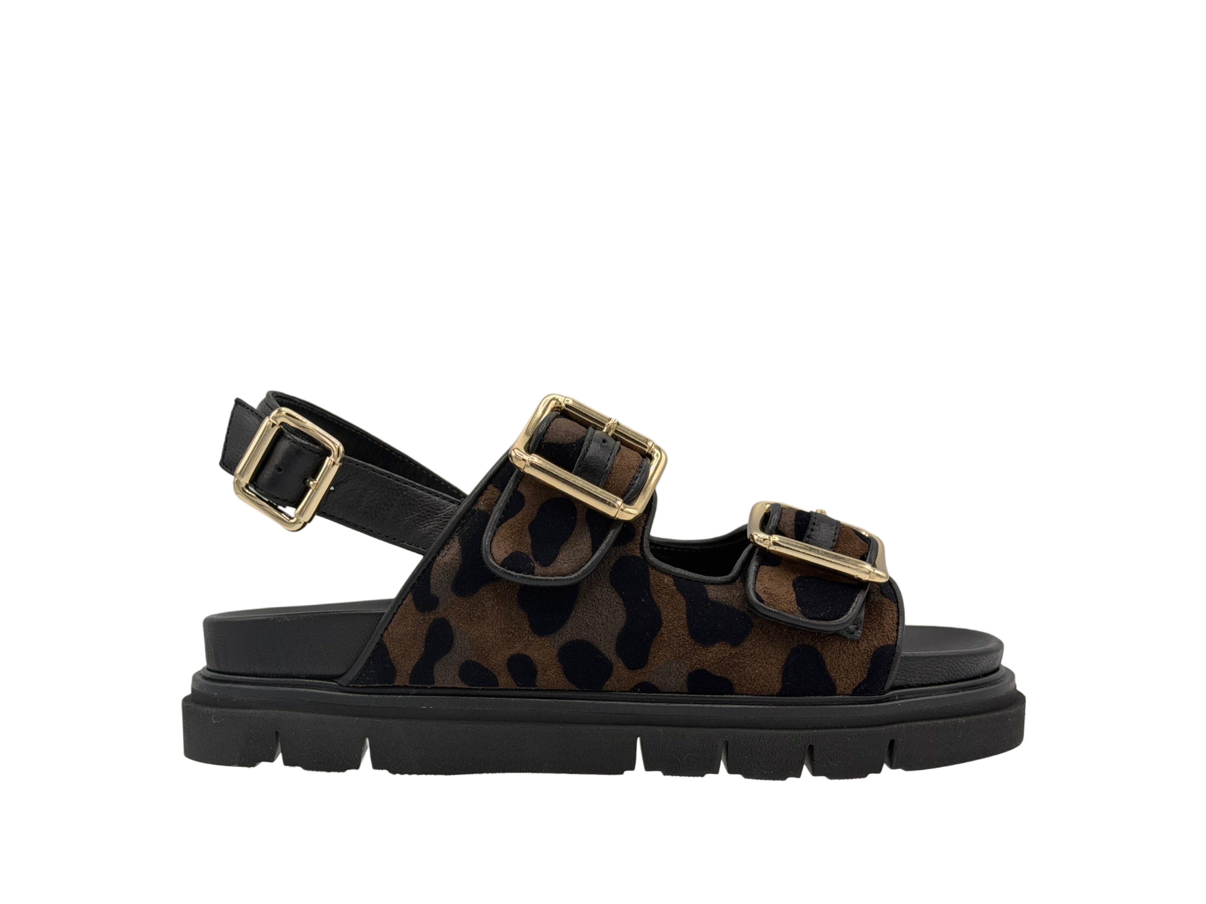 Luca Grossi - L253S (Leopard)